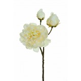 9-474377