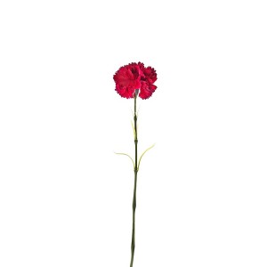 8-29206