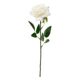 8-31130 ΛΕΥΚΟ