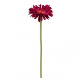 8-31134 ΦΟΥΞΙΑ