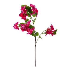 8-31136 ΦΟΥΞΙΑ