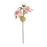 8-33818 PINK
