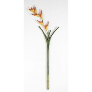 35/7681/001OR