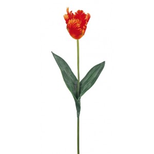 3/210604