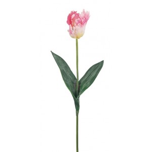 3/210600