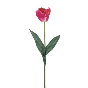 3/210602