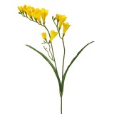 7-009FR YELLOW