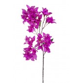 7-080FV PURPLE