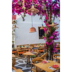 ΒΟΚΑΜΒΙΛΛΙΑ ΦΥΤΟ